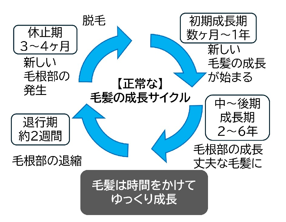 ヘアサイクル01