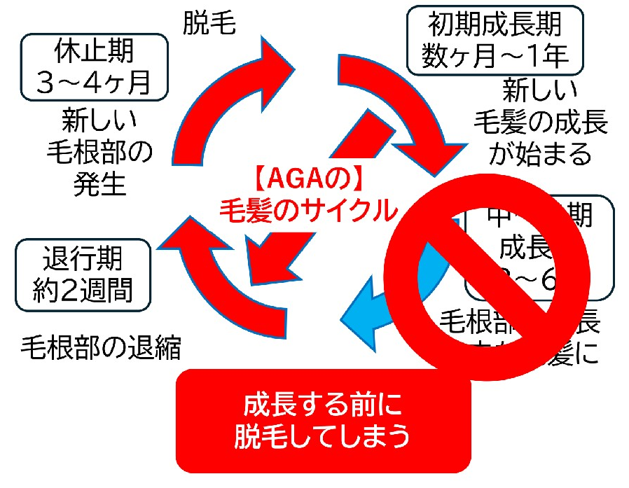 ヘアサイクル02